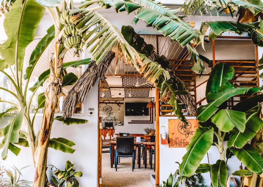 Dhiffushi Inn